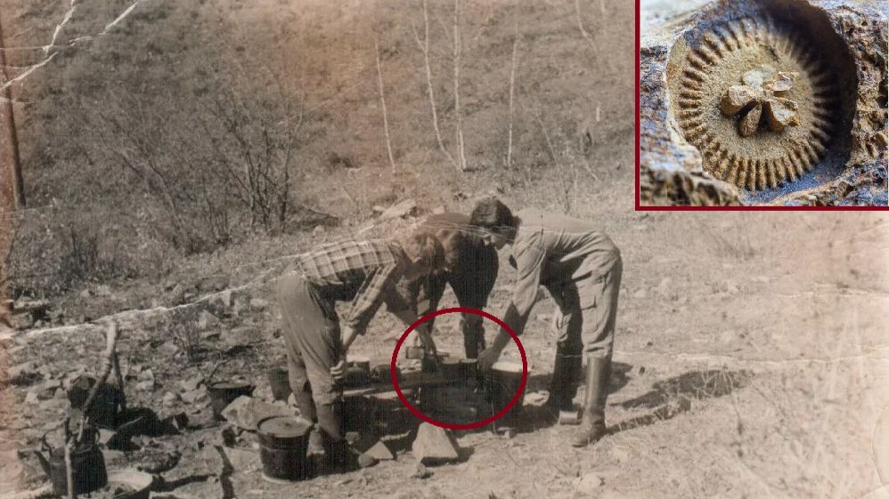 Титановая шестерёнка в камне возрастом 120 000 лет найдена на плато Путорана