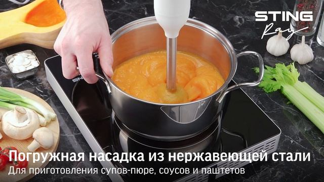 Погружной блендер STINGRAY ST-KP2211D