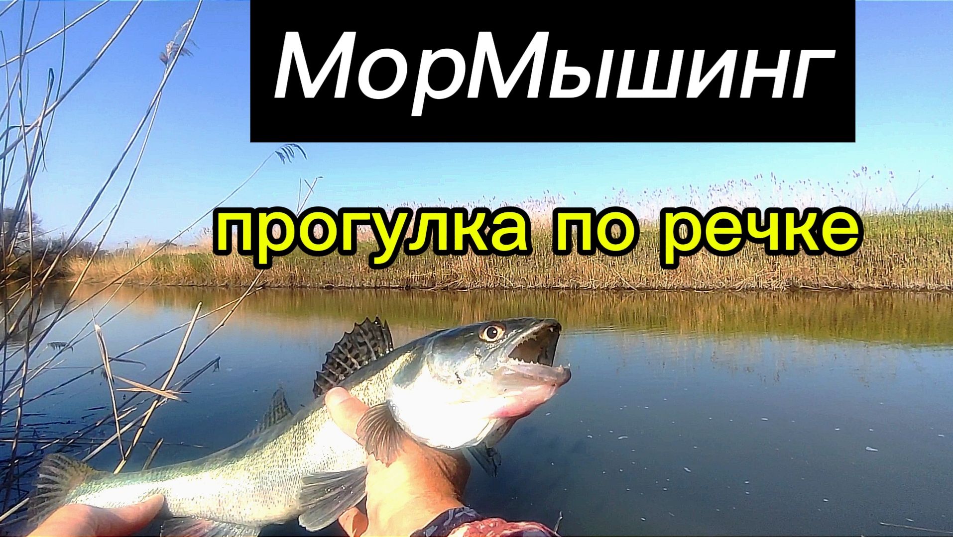 МОРМО Прогулка по реке.