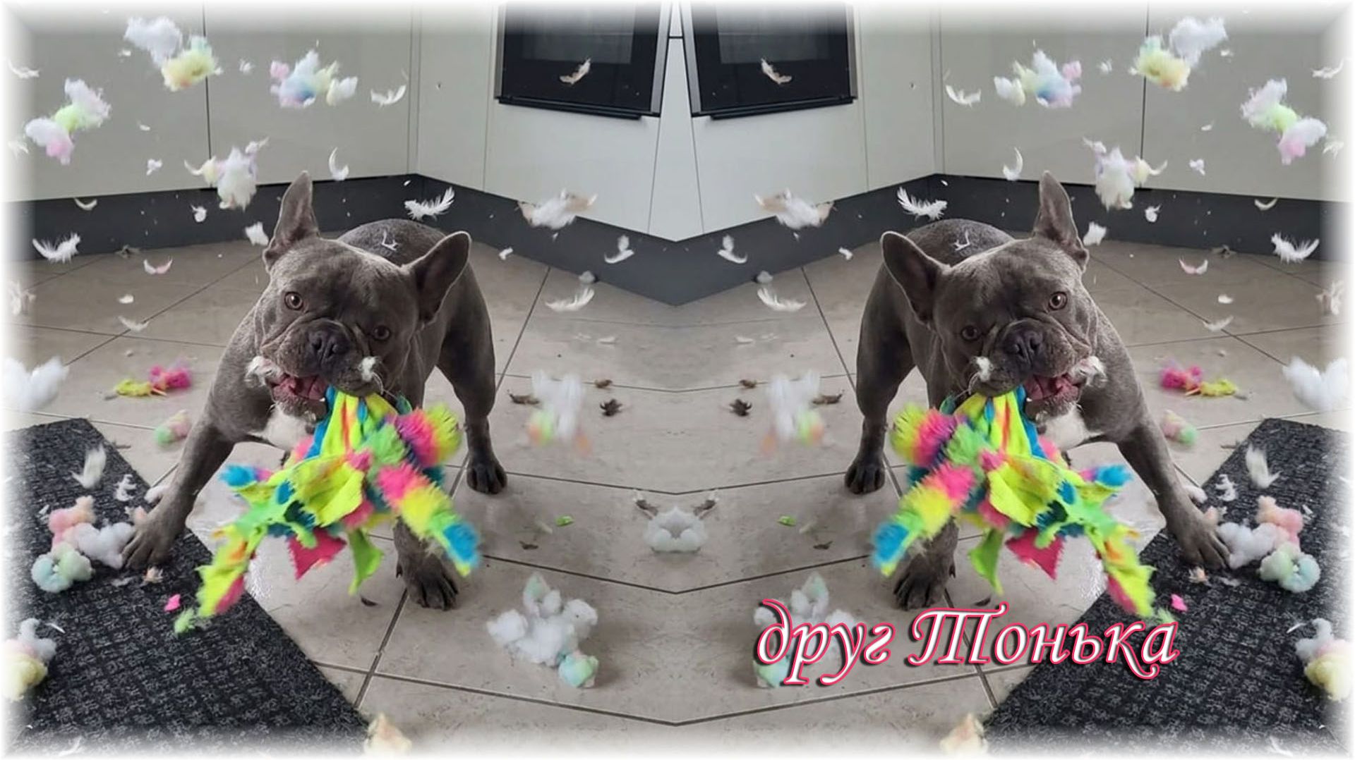 EW2026 - Друг Тонька - Friend Tonka (v142-Krekers)