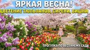Весна пришла, но мы хотим тепла, а растения несмотря ни на что цветут
