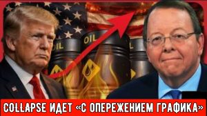 Профессор Пейп: проект COLLAPSE идет «с опережением графика»