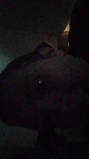 стрим разговорный