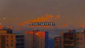 Твин Пикс - листья