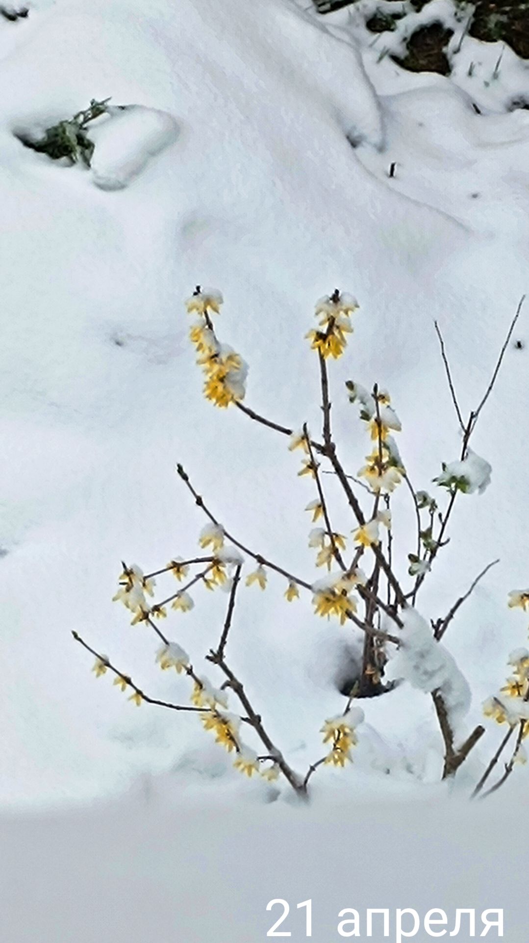 Сегодня ноль ❄️ а завтра+10🌞👍