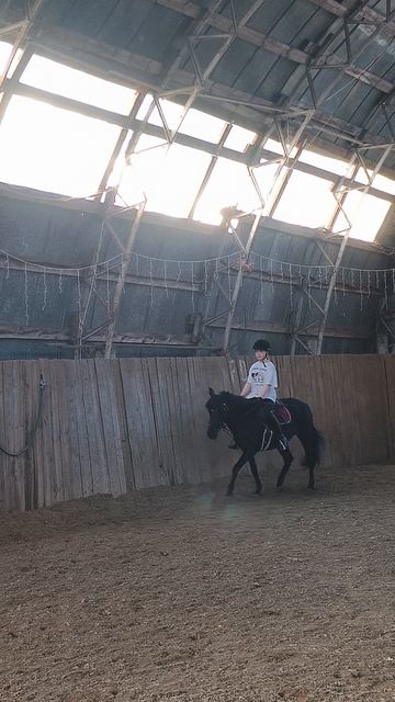 София и Наоми, рысь по стенке в манеже.