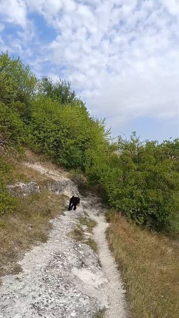 Video.Guru_20240817_180759404