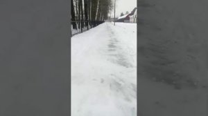 вечерний стрим