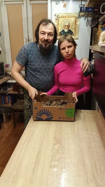 Kartofel-semennoy-2026-aprel