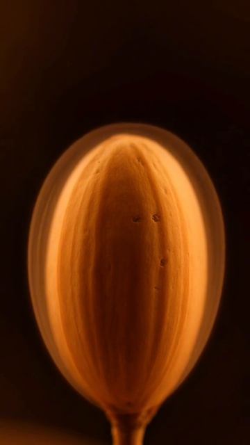 Грецкий орех - токсичная ловушка ?