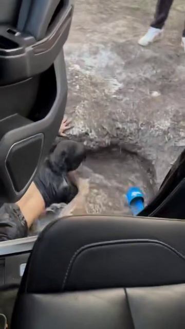 Пранк, после которого он больше никогда не будет спать... #смешные #шуточное #рекомендации #shorts