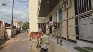 Замуж в Индию СДУРЕТЬ МОЖНО Сутки в индийском поезде