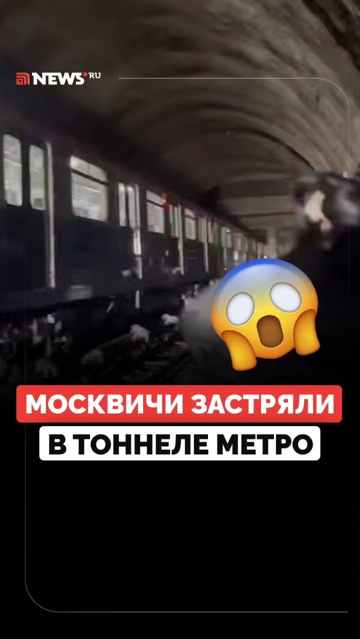 «Дым фигачит»: пассажиров метро вывели из вагонов прямо внутри тоннеля в Москве