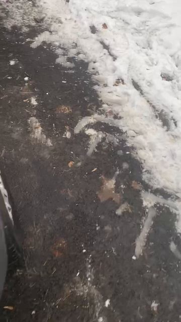 2_5316622733046484516