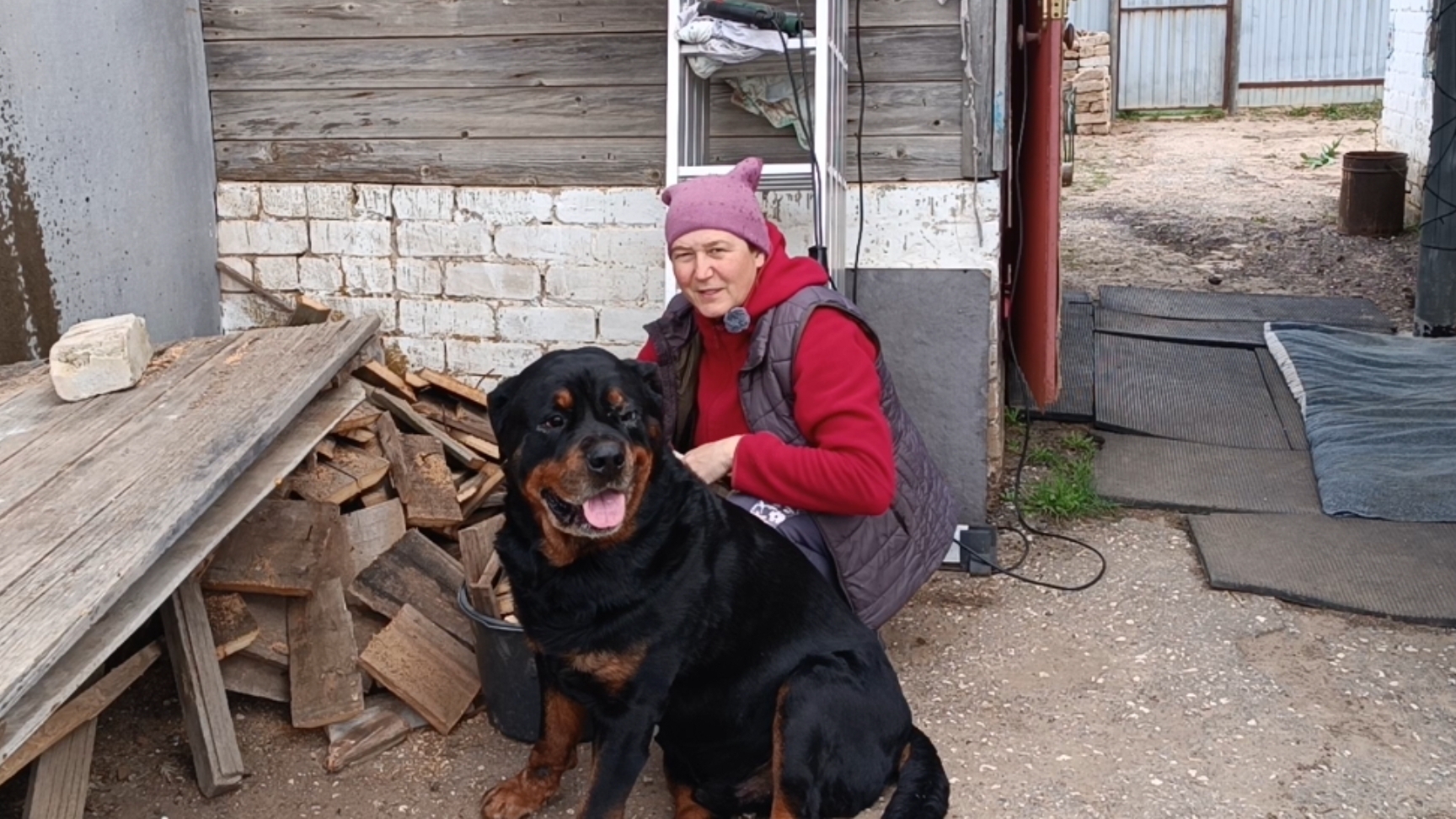 Избавилась от него и очень рада. Придумала себе новое занятие. Снова посеяла помидоры.