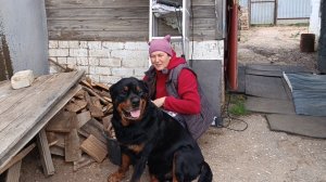 Избавилась от него и очень рада. Придумала себе новое занятие. Снова посеяла помидоры.