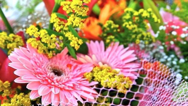 Самые Потрясающие Цветы  . Подборка Лучших цветов.