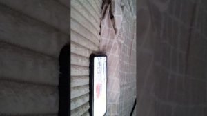 играю в игру Car Parking мой ник PLAYER#213 едем в путешествие.