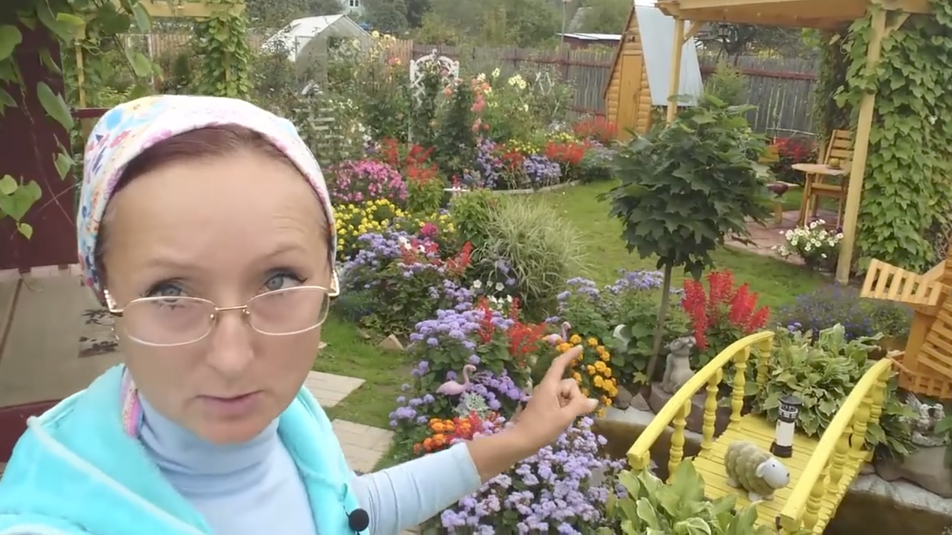 Видео привет с 6 соток от 29 августа 2021 года