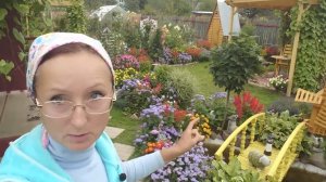 Видео привет с 6 соток от 29 августа 2021 года