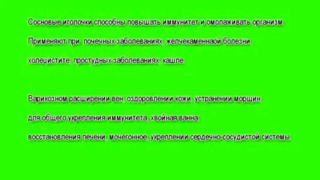 Сосновая хвоя  польза