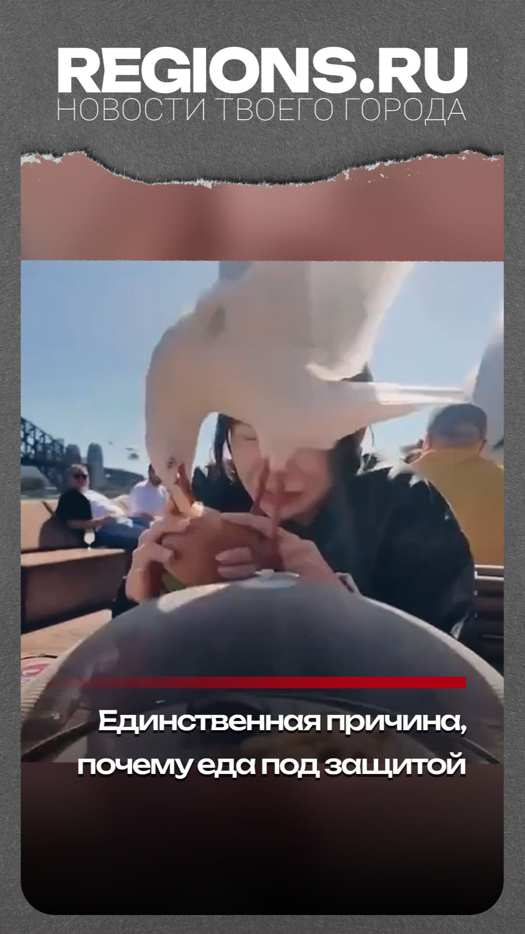 Единственная причина, почему еда под защитой