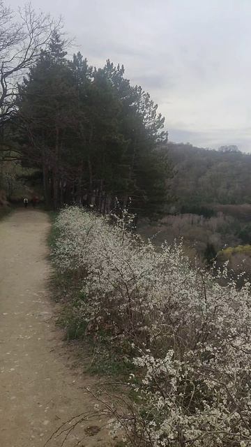 Посетили Хозяина гор.