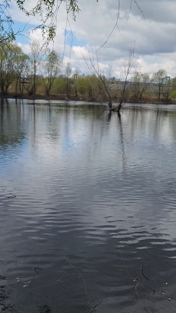 Гладь до тишь