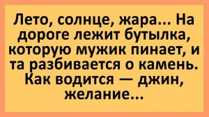 Мужик пинает бутылку - появляется Джин... Анекдоты смешные до слез!