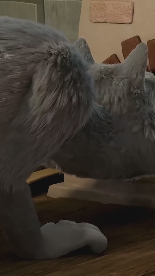 Прятки зашли слишком далеко… 🔦👀