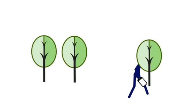 моя первая анимация