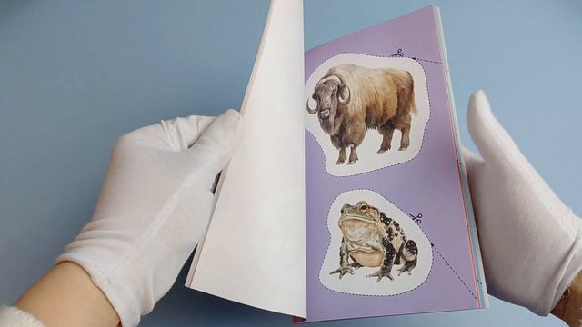 Мои первые вырезалки. Животные 4+