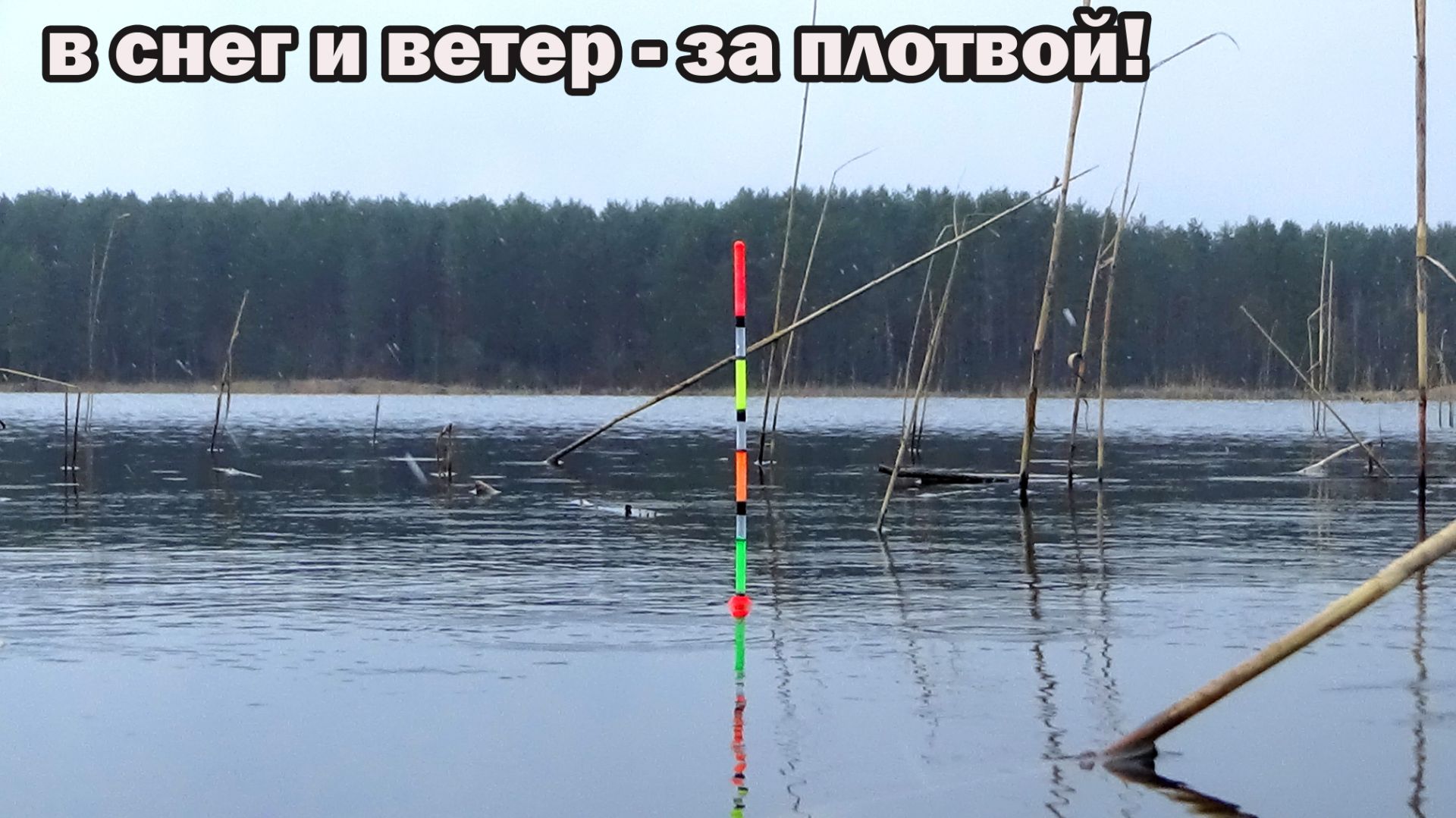 Не зря поехал на рыбалку в плохую погоду! Плотва подходит к берегу! Рыбо-работы и отличный клёв