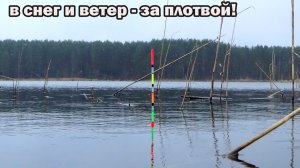 Не зря поехал на рыбалку в плохую погоду! Плотва подходит к берегу! Рыбо-работы и отличный клёв