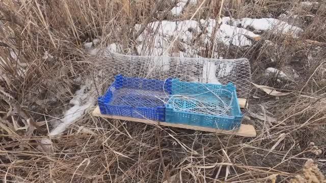 УТИНОЕ ГНЕЗДО ОТ ОХОТНИКОВ