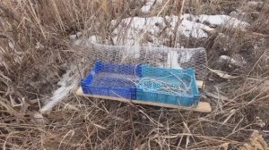 УТИНОЕ ГНЕЗДО ОТ ОХОТНИКОВ