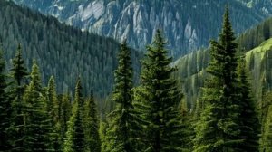 Моя любимая земля стихи Наталии Аникеевой музыка исполнение ИИ Авт НРудакова