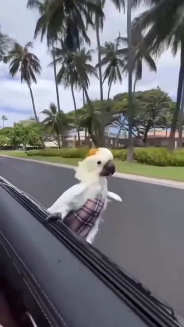 На прогулке