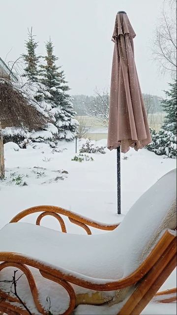 Вот вам и апрельский загар🤪. 21 апреля

#весна #жмзнь #снегвапреле