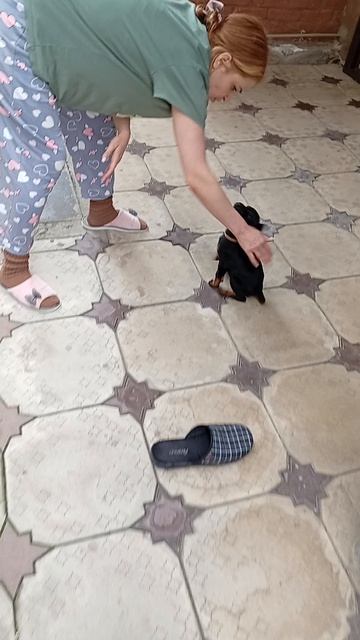 Афина вышла погулять! 😂