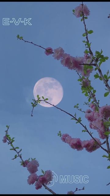 🌿 «Прохлада мая» /Авторская работа /Энергия в кадре /Виктория Кацаран