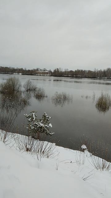 Берег р.Ока.Утро 7часов 21.04.2026г.