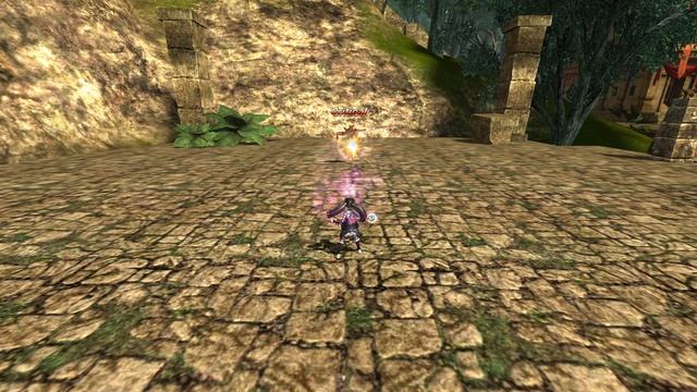 Облик Алхимика  Чаровница дальний бой