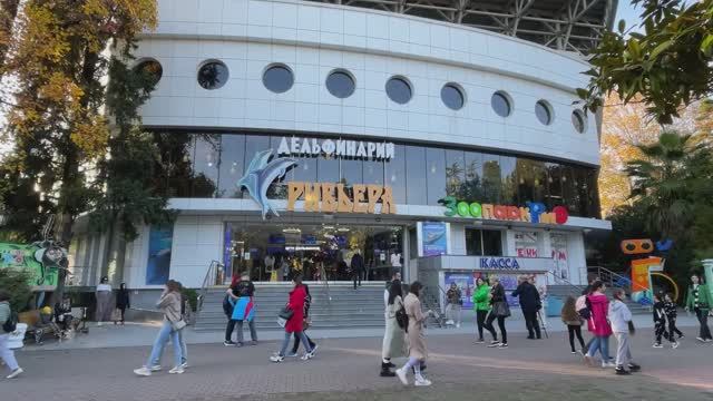 Сочи.Большой Сочинский дельфинарий