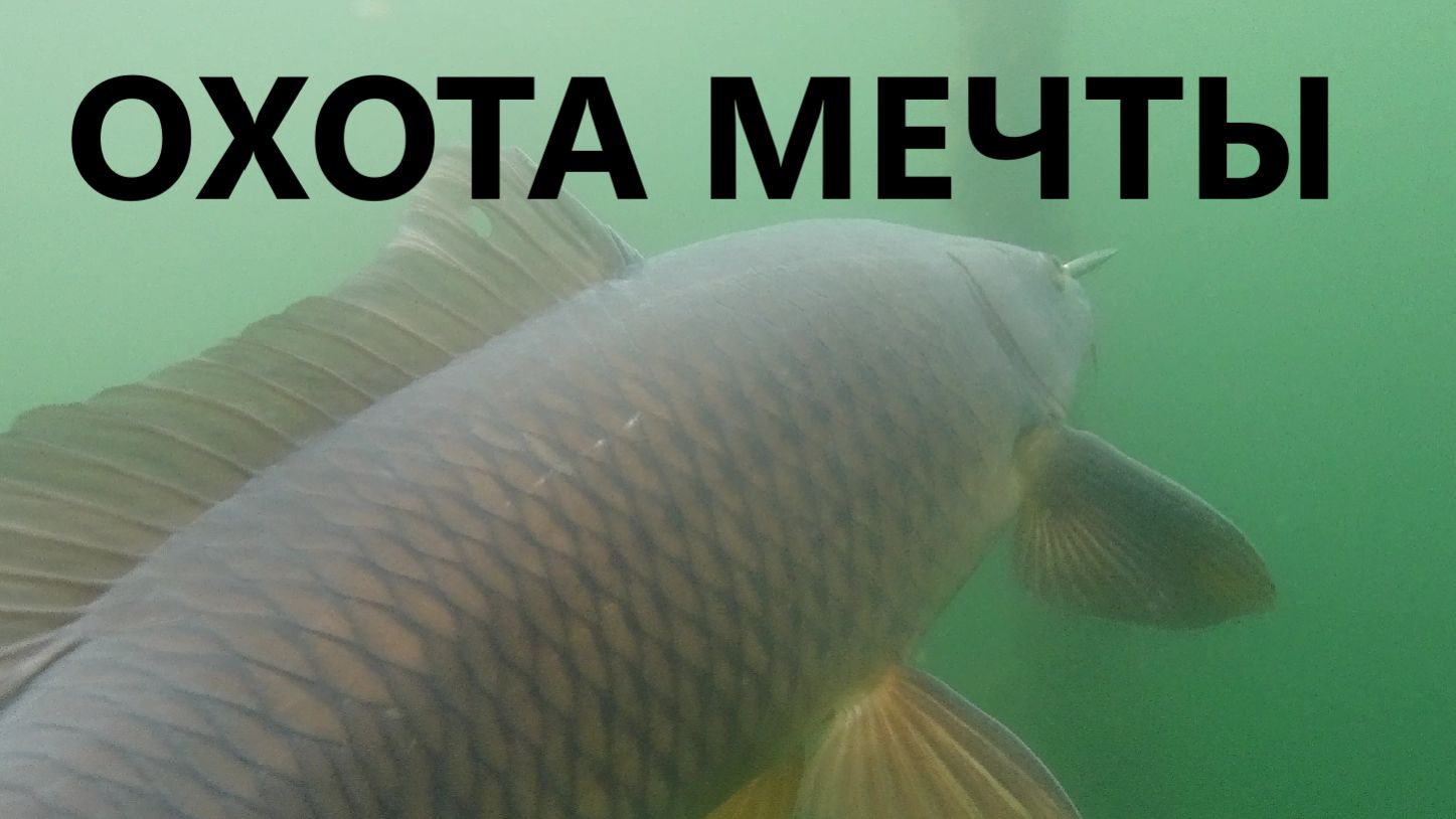 Охота мечты