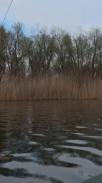 Карась на боковой кивок