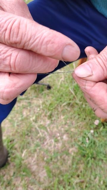 Поводок на Спиннинг ©20250706