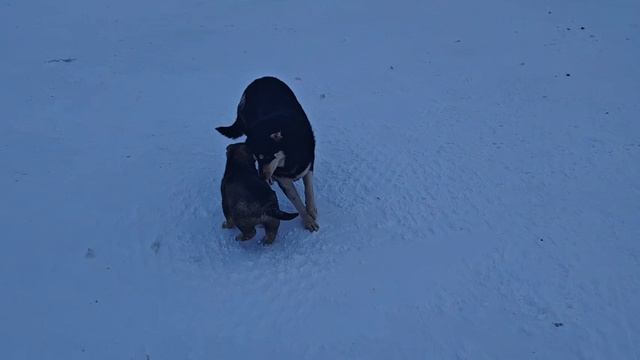 Первые шаги в большой мир.
