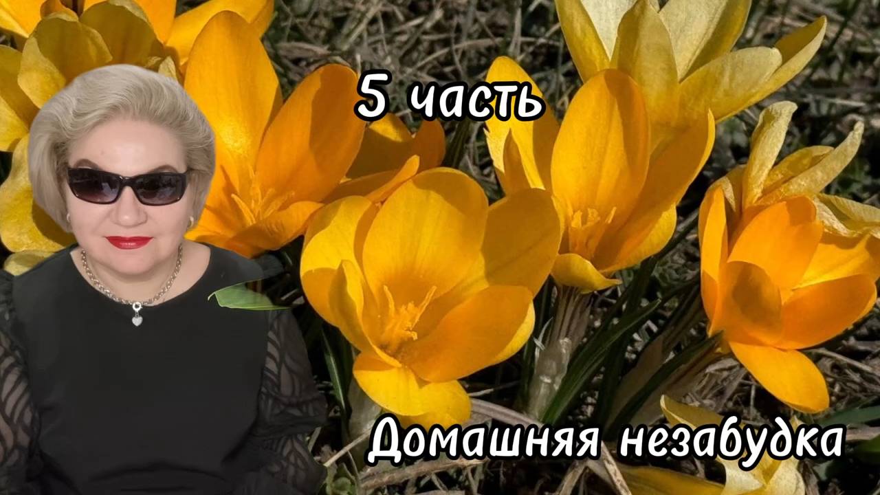 5 часть. Предателей и пузатых мужиков в РАСХОД❗️Привет СЕРЁГЕ Питерскому❗️