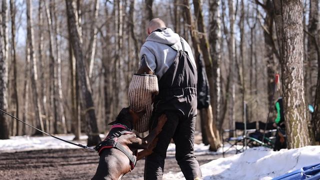 Smart Wood Hills Yarra Yering